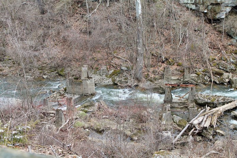 Roller Coasters That Defined the Park