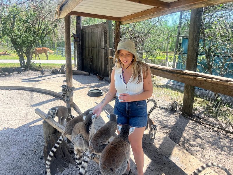 Lemur Feeding Add-On Experience