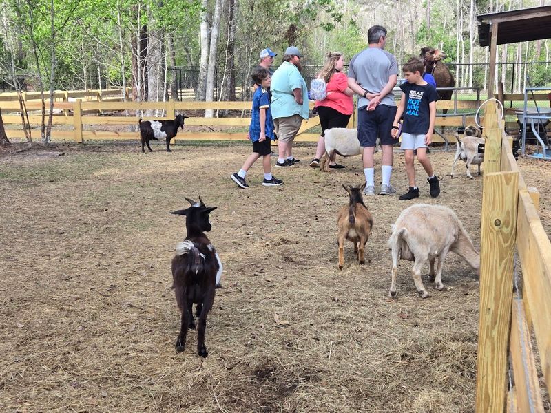 A Rescue Sanctuary With a Real Mission