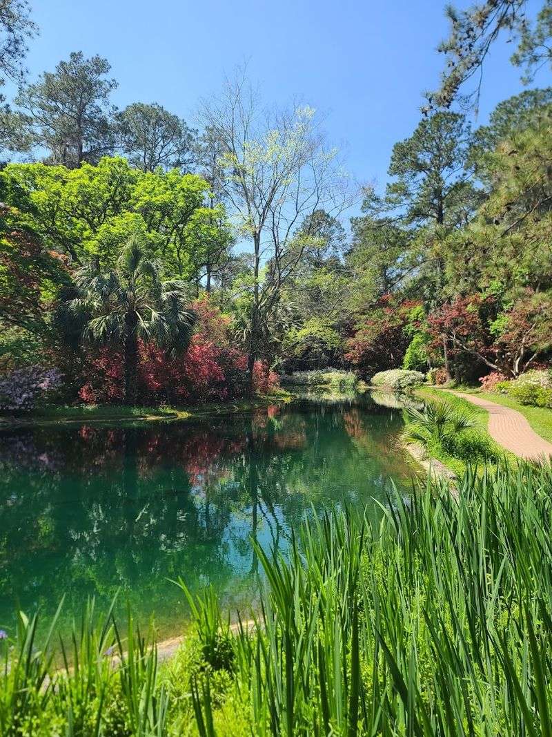 Outdoor Adventures at Natural Trails and State Parks Nearby