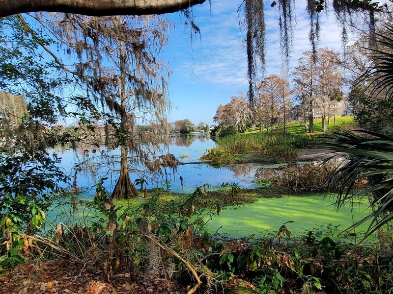 Lake Rowena Shoreline: Peaceful Water Views in the Heart of the City