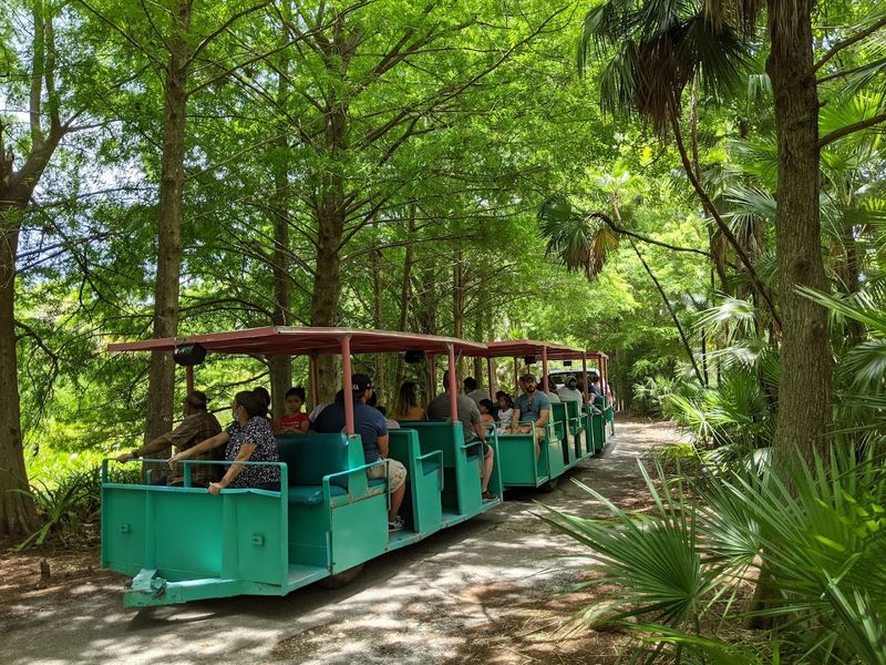 Tram Tours Through Jungle-Like Landscapes