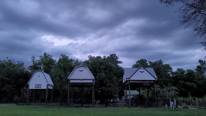 What Makes These Bat Houses the Largest in the World