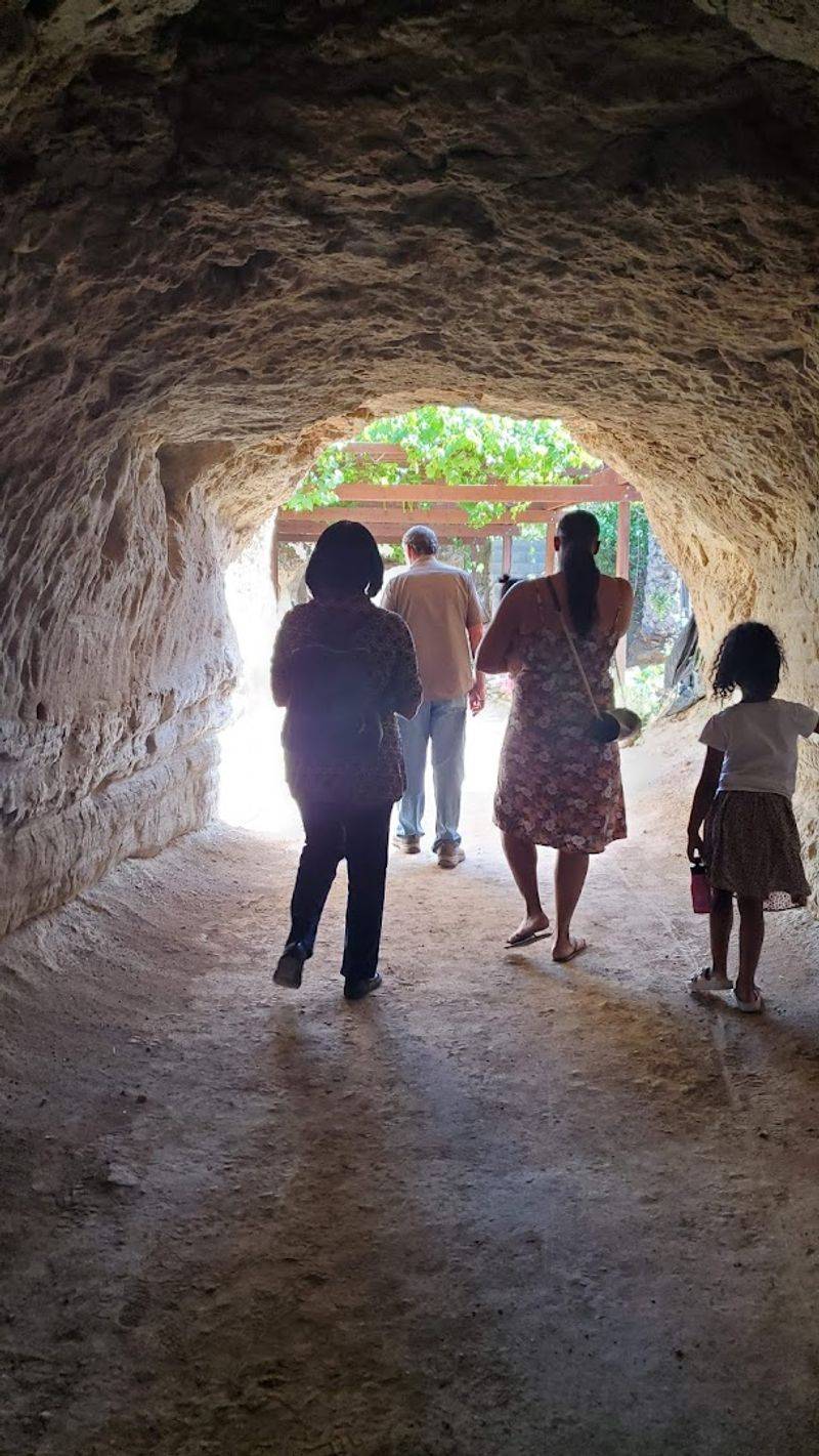 Visiting with Kids and Families: An Educational Adventure