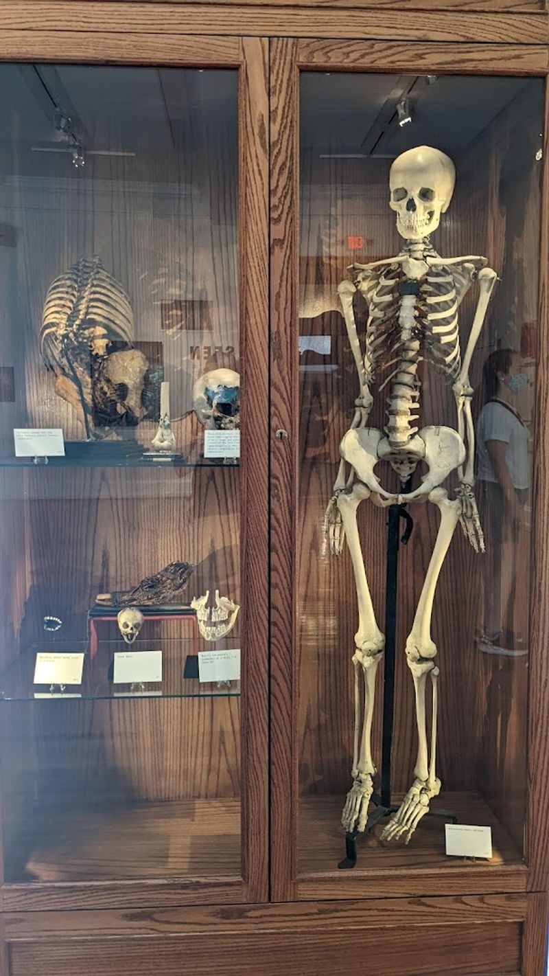 Medical Tools, Diseases, and Human Stories