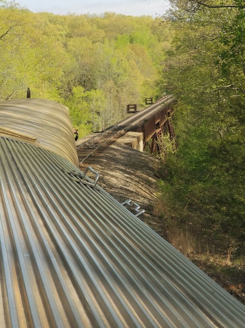 Crossing High Trestles Above the Forest