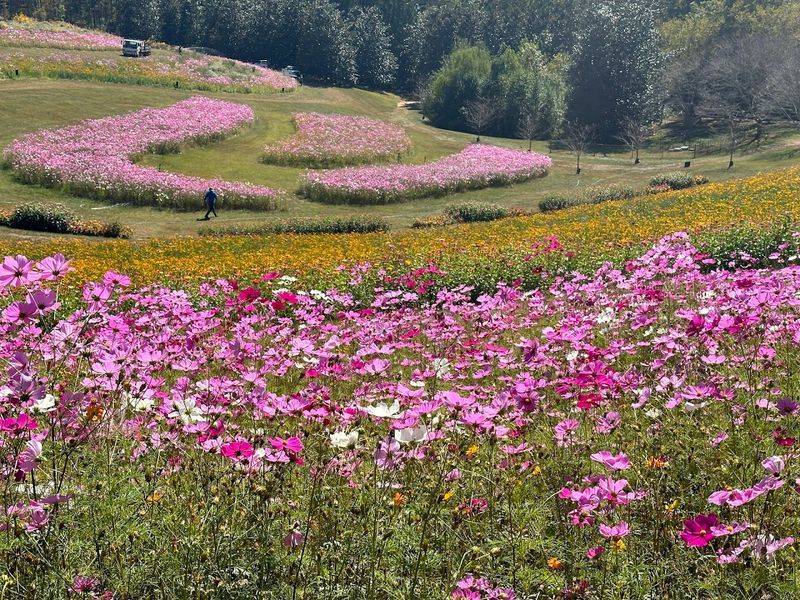 The Wildflower Garden and Butterfly Habitat