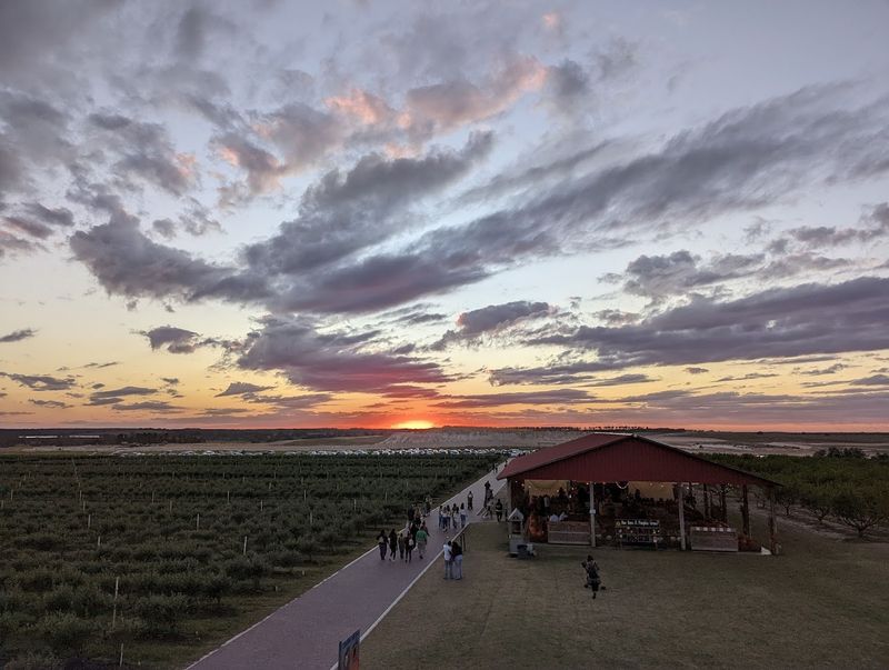 Gorgeous Sunsets and Private Event Spaces on the Farm