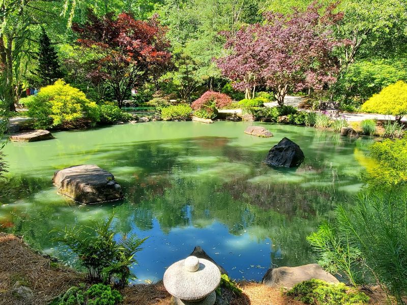 The Japanese Garden