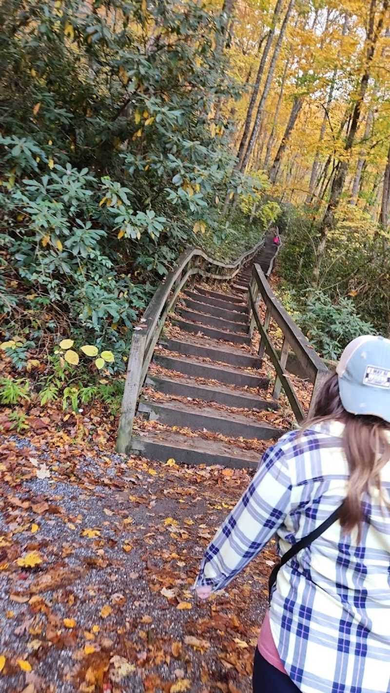 Climbing the Famous Staircase to the Top
