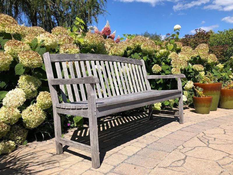 The Meditation and Rose Gardens