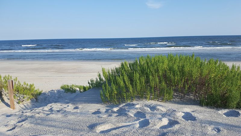 Shelling Along the Undeveloped Coastline
