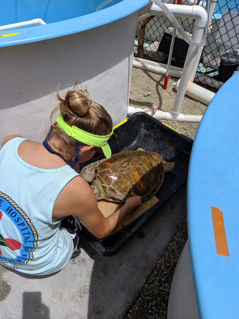 An Interactive, Education-First Experience for All Ages