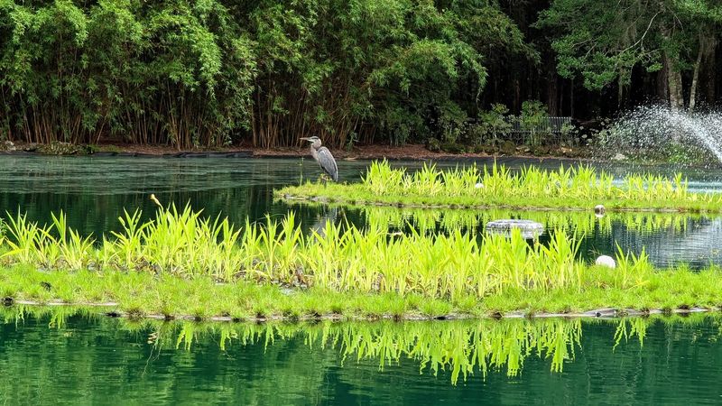 A Purpose-Built Sanctuary for Tranquility