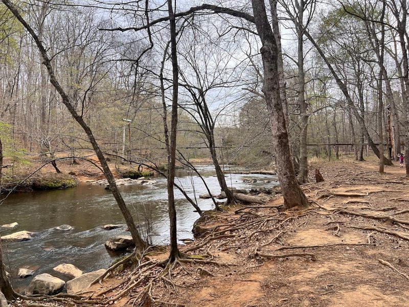 A Grassroots Movement That Saved the River