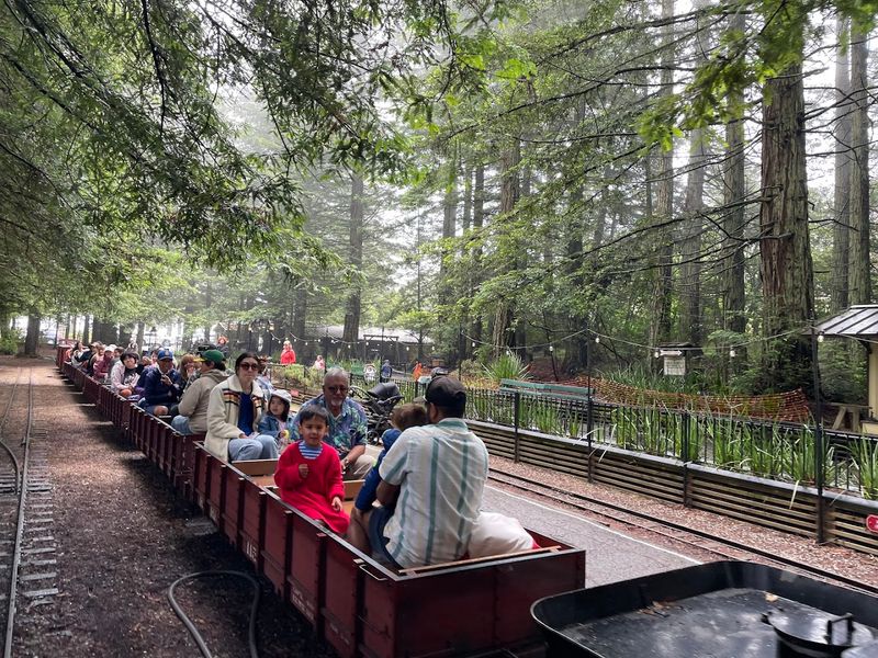 The 12 to 15 Minute Ride Through an Enchanting Redwood Forest