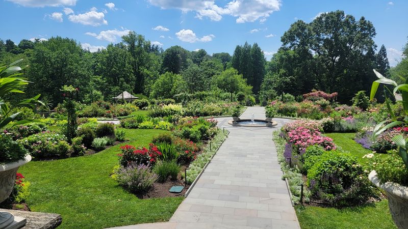 Seasonal Blooms and Year-Round Color: Always Something New to See