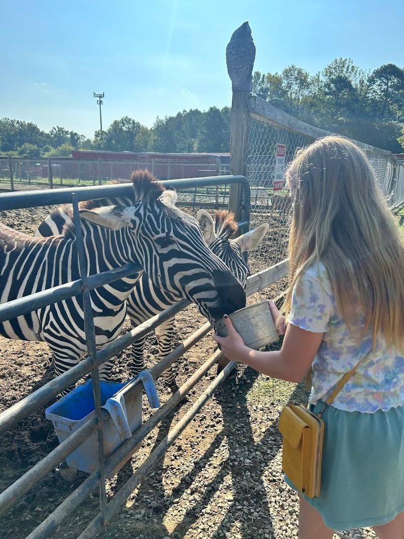 A Wildly Personal Safari in North Carolina