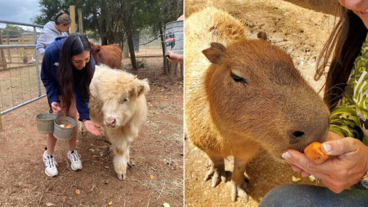The Most Personal Animal Experience in North Carolina Happens on a Safari Where Your Group Might Be the Only One There