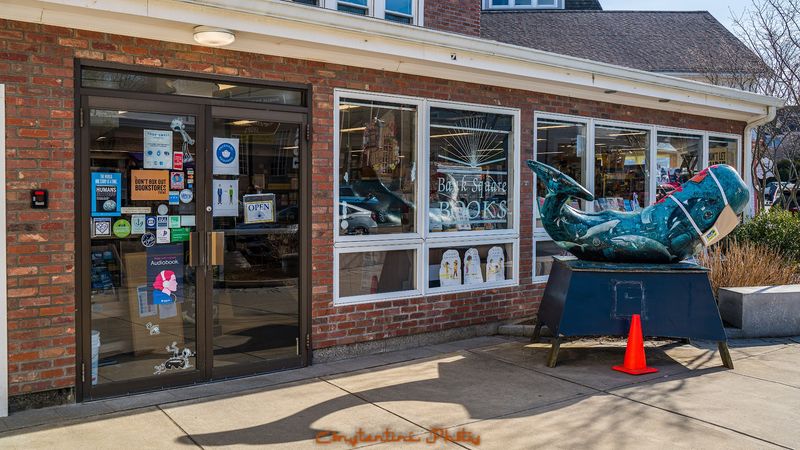 Charming Downtown Mystic Shopping