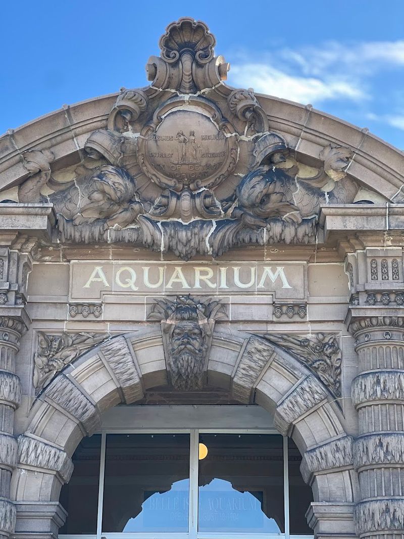 Free To Visit, Worth Supporting