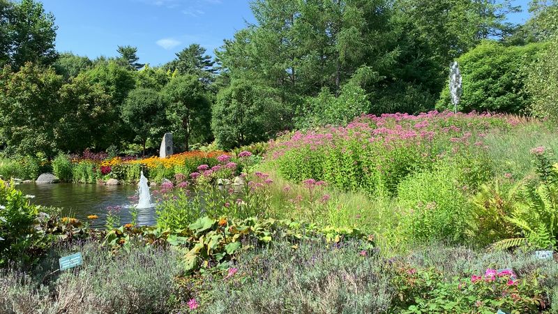 Waterside Views and The Landing