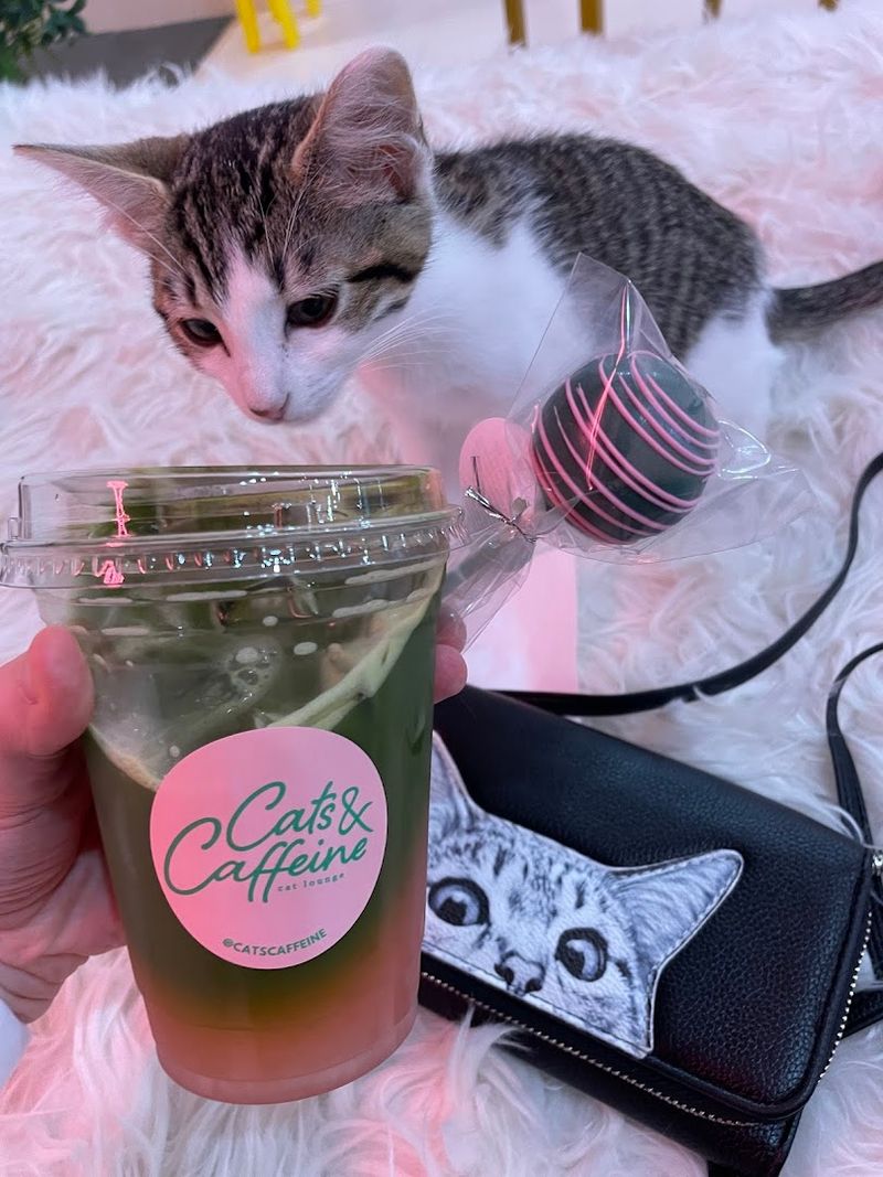 Coffee, Matcha, and Sweet Treats