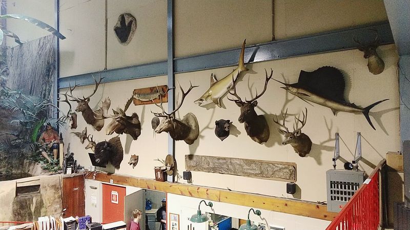 Gift Shop Strategy: Souvenirs That Matter