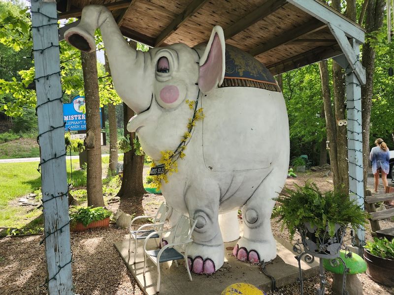 Miss Ellie, The Giant Elephant Out Front