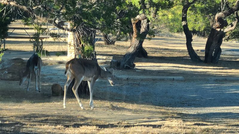 Wildlife, Stargazing, and Nature at Its Best