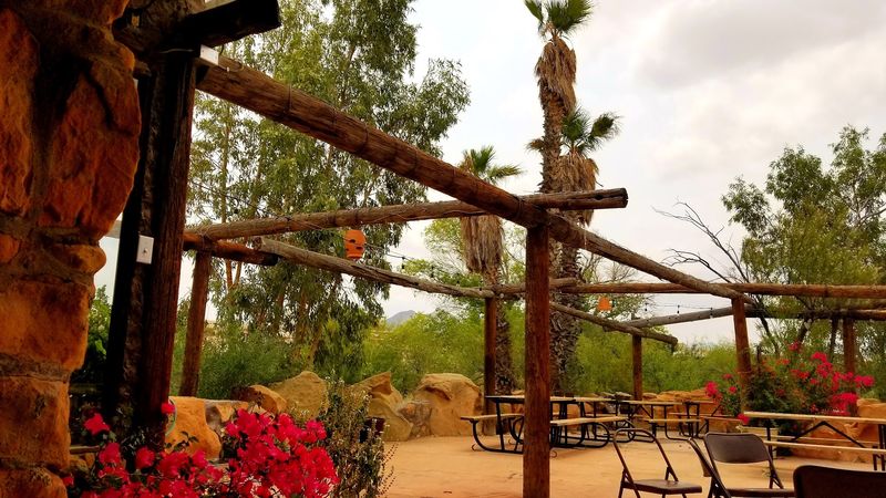 The Outdoor Patio by Terlingua Creek