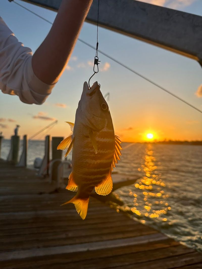 Fishing Off the Dock and Rocks: An Angler's Dream Destination