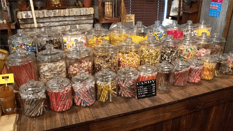 Essential Visitor Info: Plan Your Trip Right