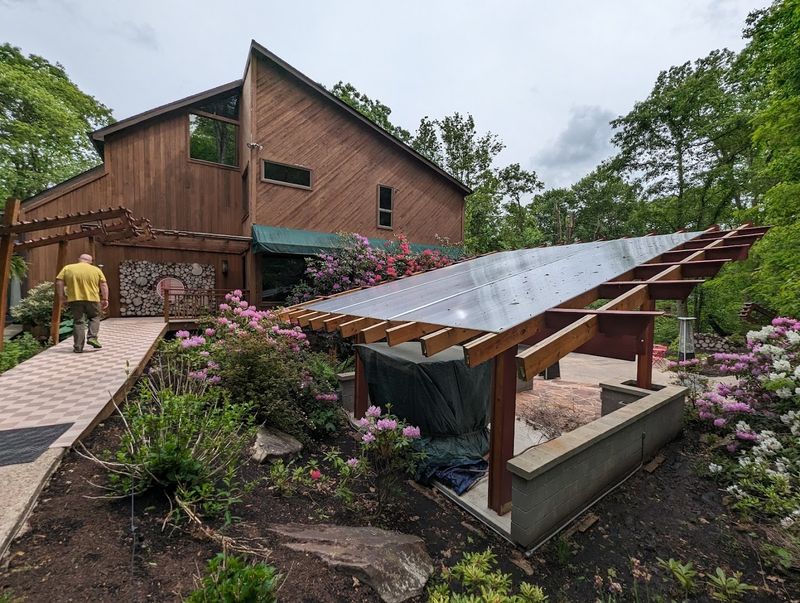 The Stunning Forest Atmosphere and Setting