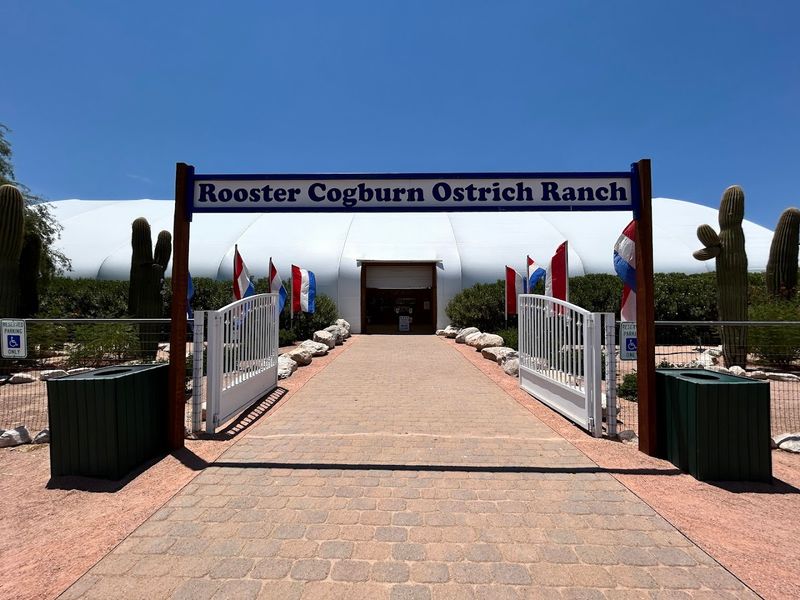 Admission Pricing and Overall Value