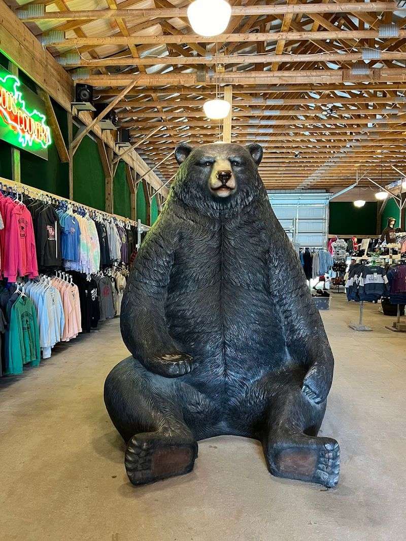 The Gift Shop: A Surprisingly Amazing Souvenir Experience