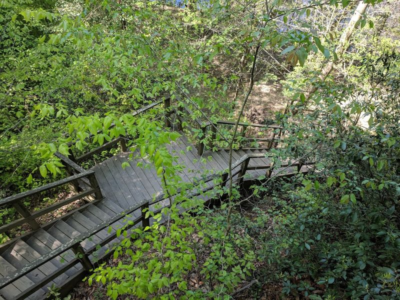 Steep Wooden Steps: The Hike's Signature Challenge