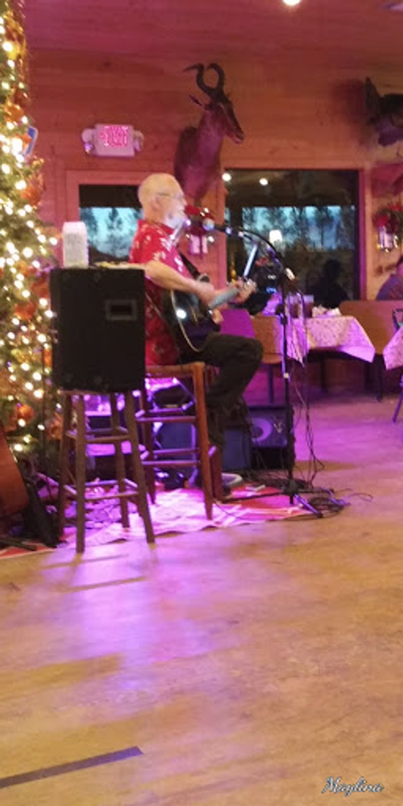 Live Music and a Neighboring Bar That Turn Dinner Into a Night Out