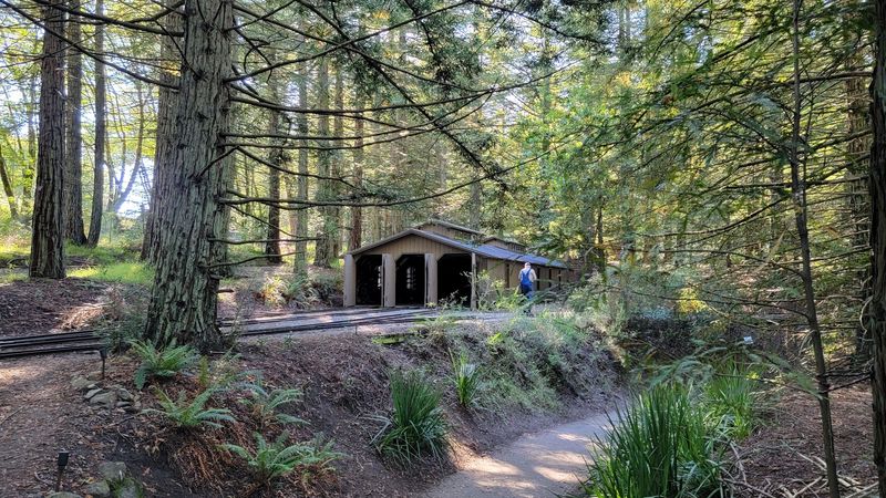 The Exciting Tunnel and Bridge Moments Along the Route