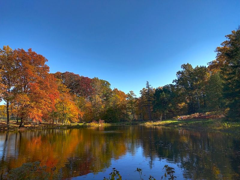 Seasonal Highlights and Views