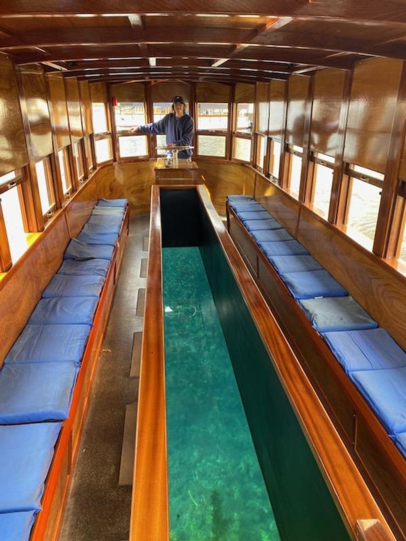 What You See Beneath &mdash; Aquatic Flora and Fauna