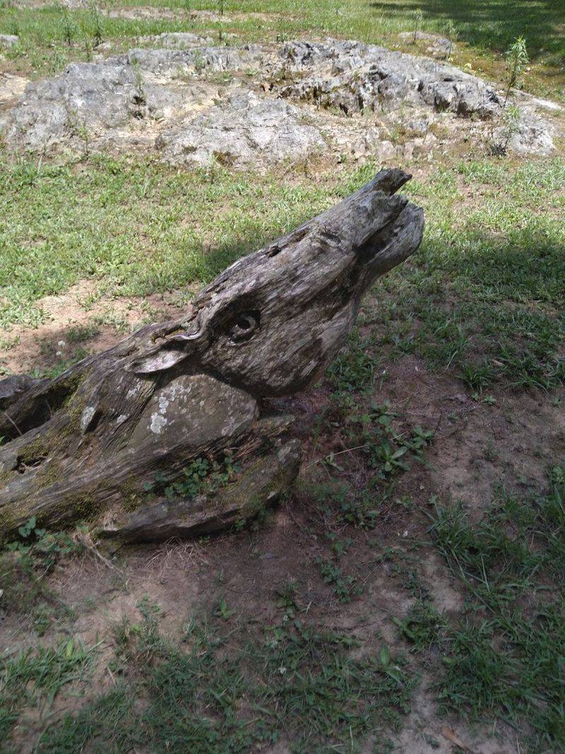 Origin Story: From Storm Damage to Forest Art