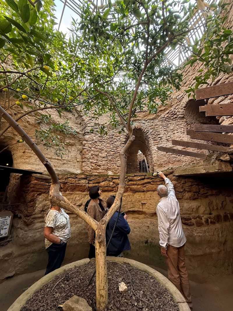 The Guided Tour Experience: What to Expect on Your Visit