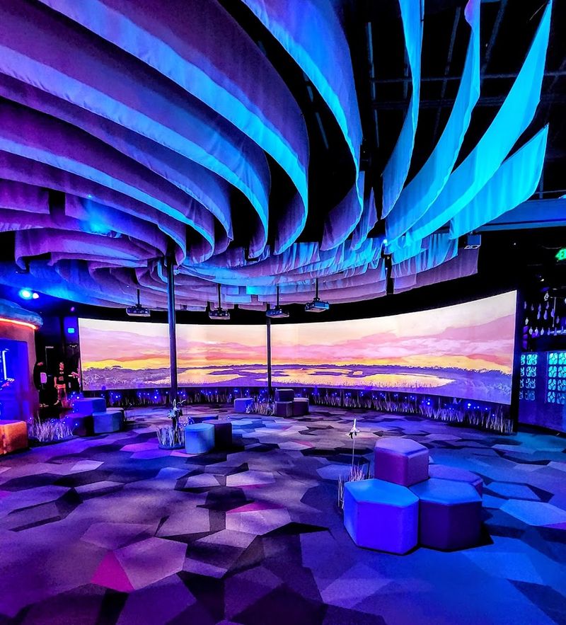 The Everglades Room: Florida's Wild Side, Indoors