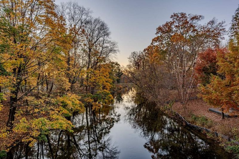 The Delaware River: Stockton's Breathtaking Natural Backdrop