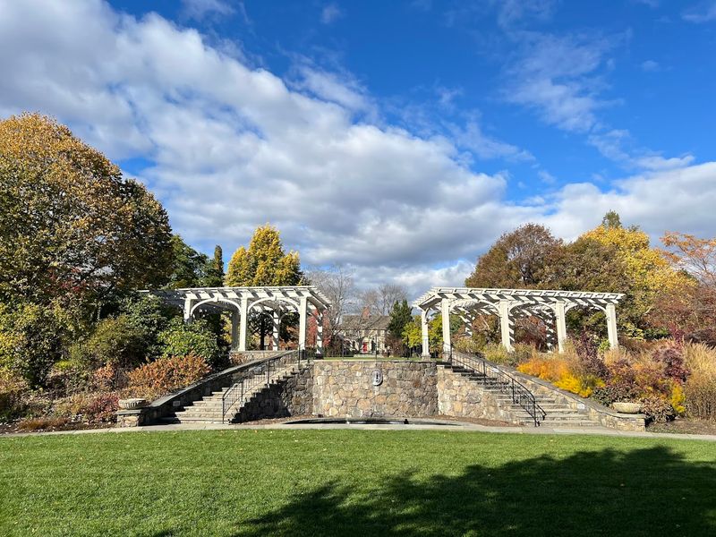 Moon Bridge and Whimsical Features