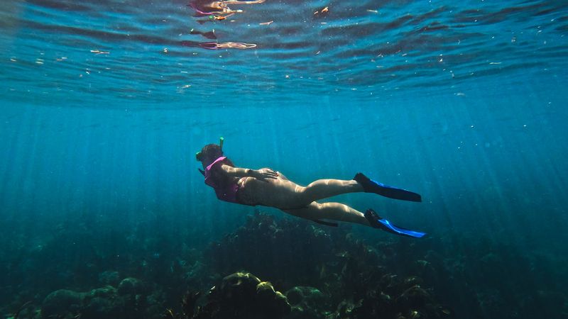 World-Class Snorkeling and Diving Opportunities