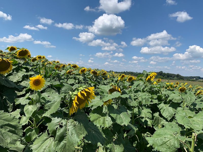 Photo Ops and Charming Props