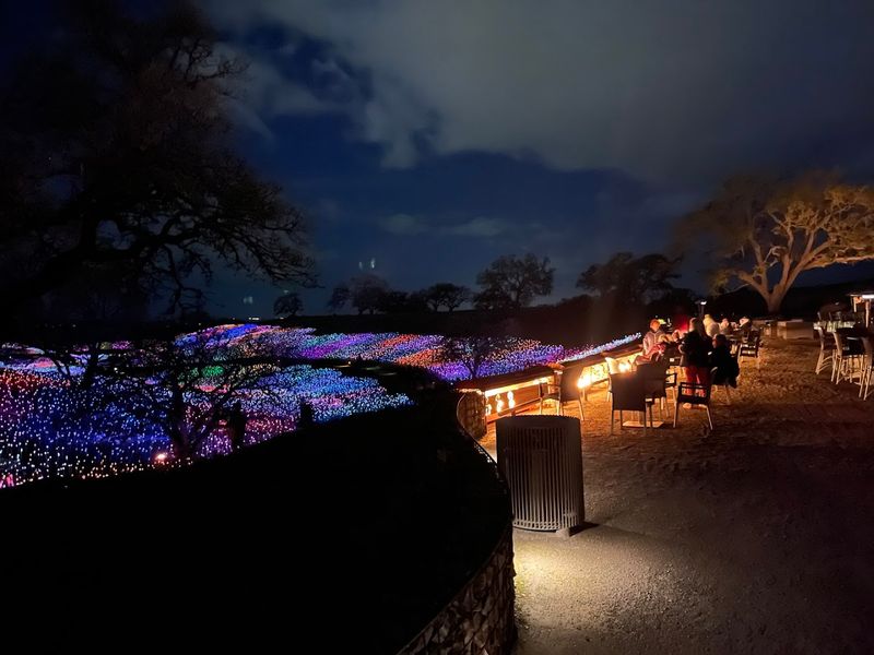 The Terrace Experience: A Front-Row Seat Above It All