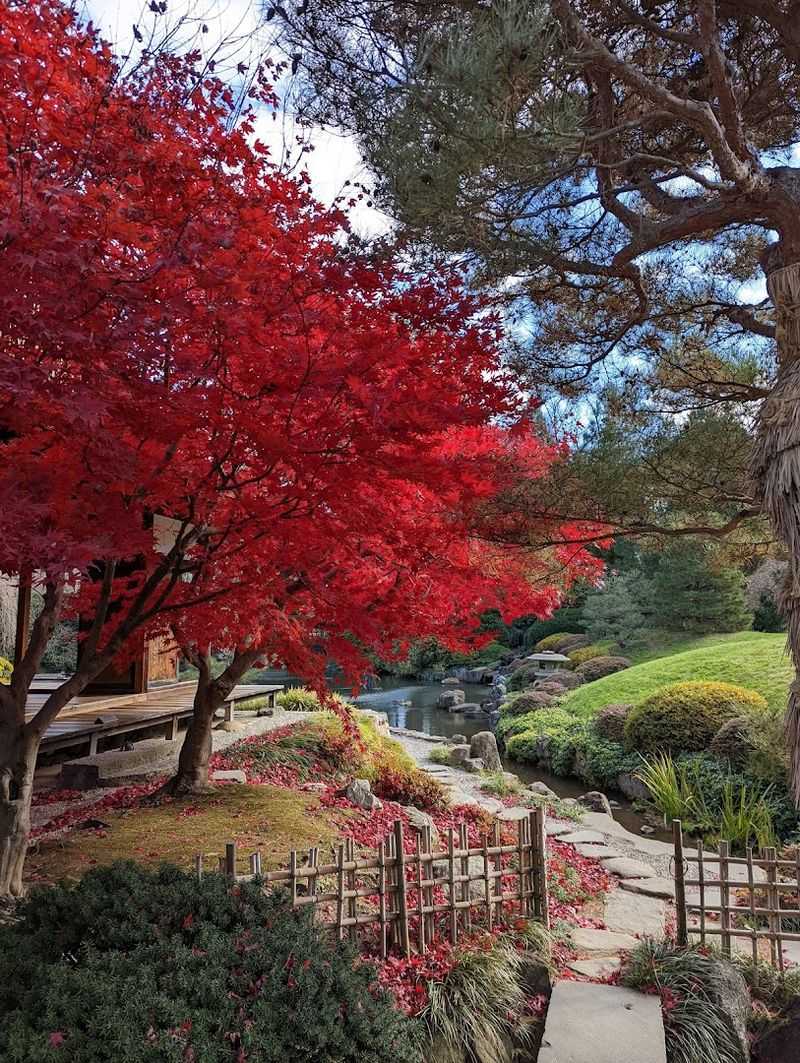 Seasonal Beauty That Reinvents Itself Year-Round